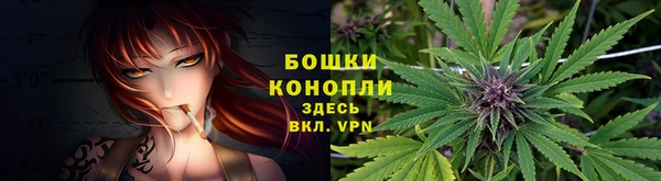 ешки Богданович