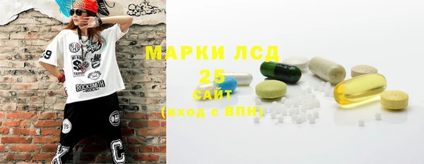 тгк Бородино
