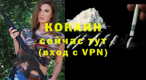 тгк Бородино