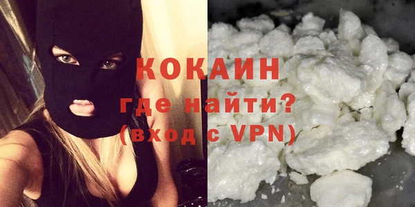 тгк Бородино