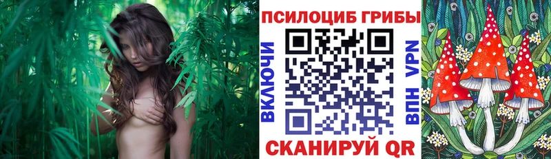 Галлюциногенные грибы Cubensis  Купить  Лесосибирск 